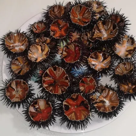 Irene Torre Santa Sabina